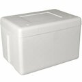 Plastilite Insulated Foam Cooler 19 1/2'' x 12 1/2'' x 12 1/2'' - 1 1/2'' Thick 451PC50PLT